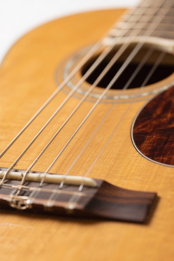 beginner friendly acoustic guitar learning